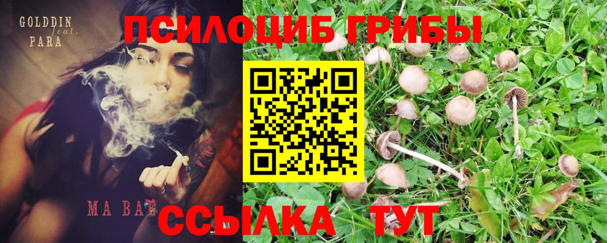 Галлюциногенные грибы прущие грибы Орёл